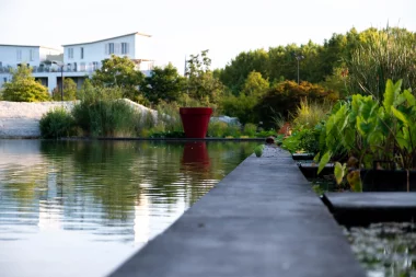Jardin Botanique de Bordeaux (3).